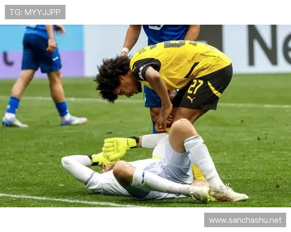 德国足协调查药厂CEO辱裁判